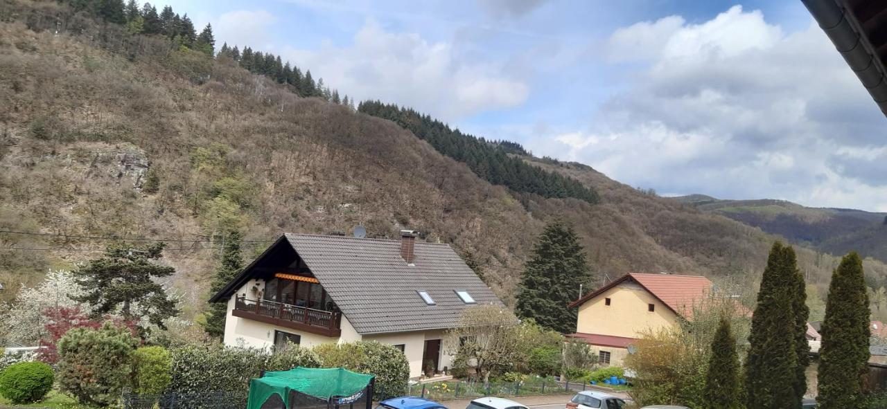 Ferienwohnung Helmine Mettlach Exterior foto